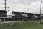 NS 7037